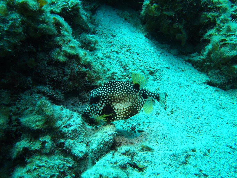 Curacao 04-12 053.JPG